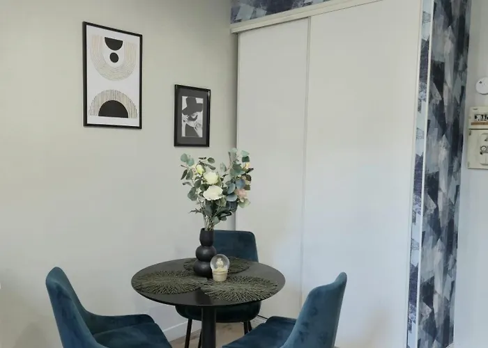 Appartement L'aquarelle - Bord Du Clain, Calme, Netflix Poitiers