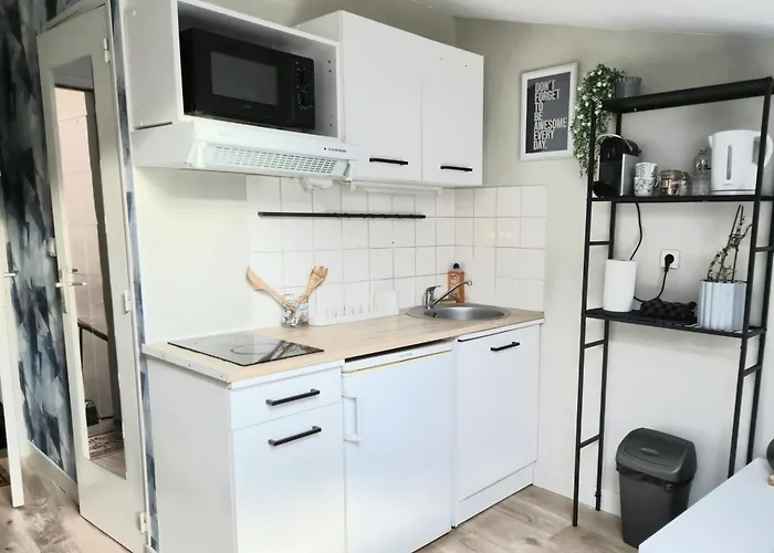 Appartement L'aquarelle - Bord Du Clain, Calme, Netflix Poitiers