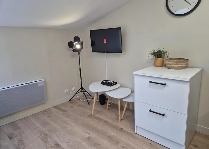 L'aquarelle - Bord Du Clain, Calme, Netflix Appartement *